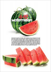  watermelon ȿ