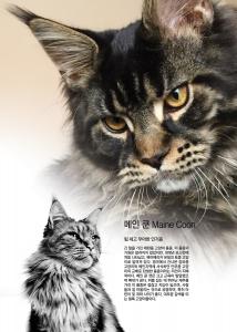 []   Maine Coon